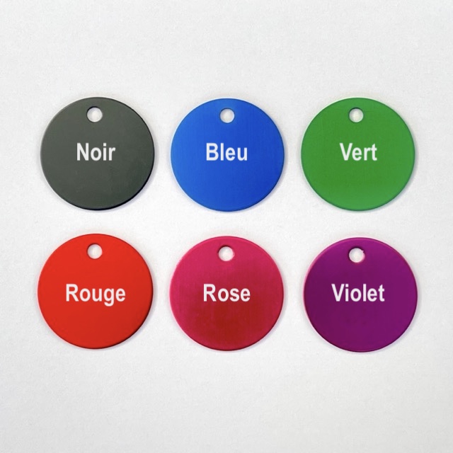 Médaille gravée pour chien – Image 3